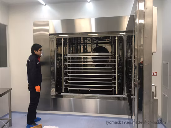 Nuova tecnologia certificata CE, verdura di alta qualità, frutta, cibo, liofilizzatore sotto vuoto, liofilizzatore, cibo per cani, cibo per gatti, liofilizzatore, macchina per l'essiccazione del caffè